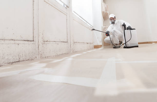 24/7 Emergency Mold Remediation experts in Wharton, NJ